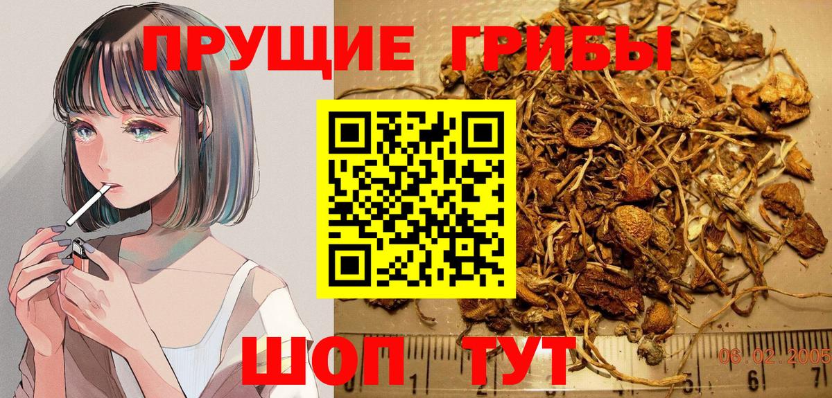 Краснознаменск  Псилоцибиновые грибы Psilocybe  Псилоцибиновые грибы Magic Shrooms  Вход с VPN 